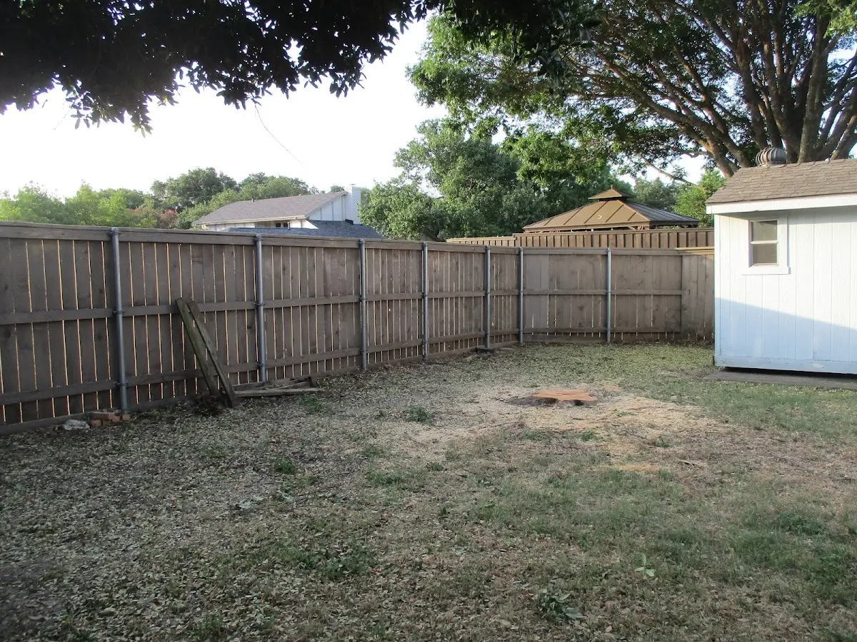 Cleared yard after professional tree removal in Seagraves