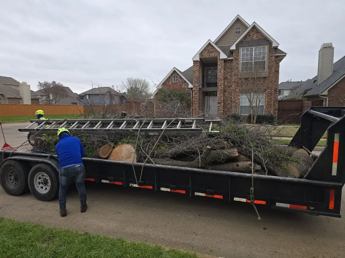 Expert Tree Fertilization with proper safety equipment in Seagraves
